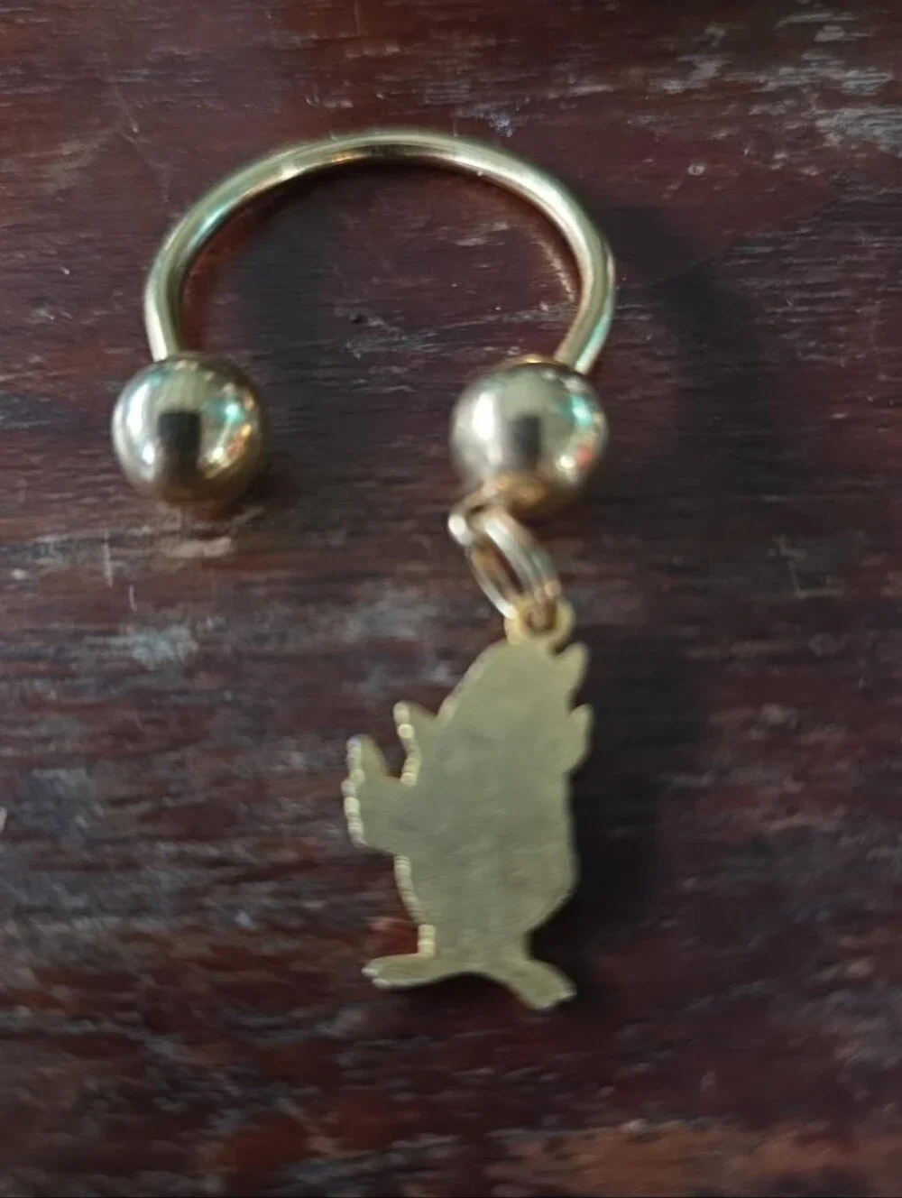 Vintage 1970s Woodsy Owl Enamel Horseshoe Screwball Key Ring NOS Vintage Gift